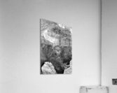 Yellowstone American Bison Acrylic Print
