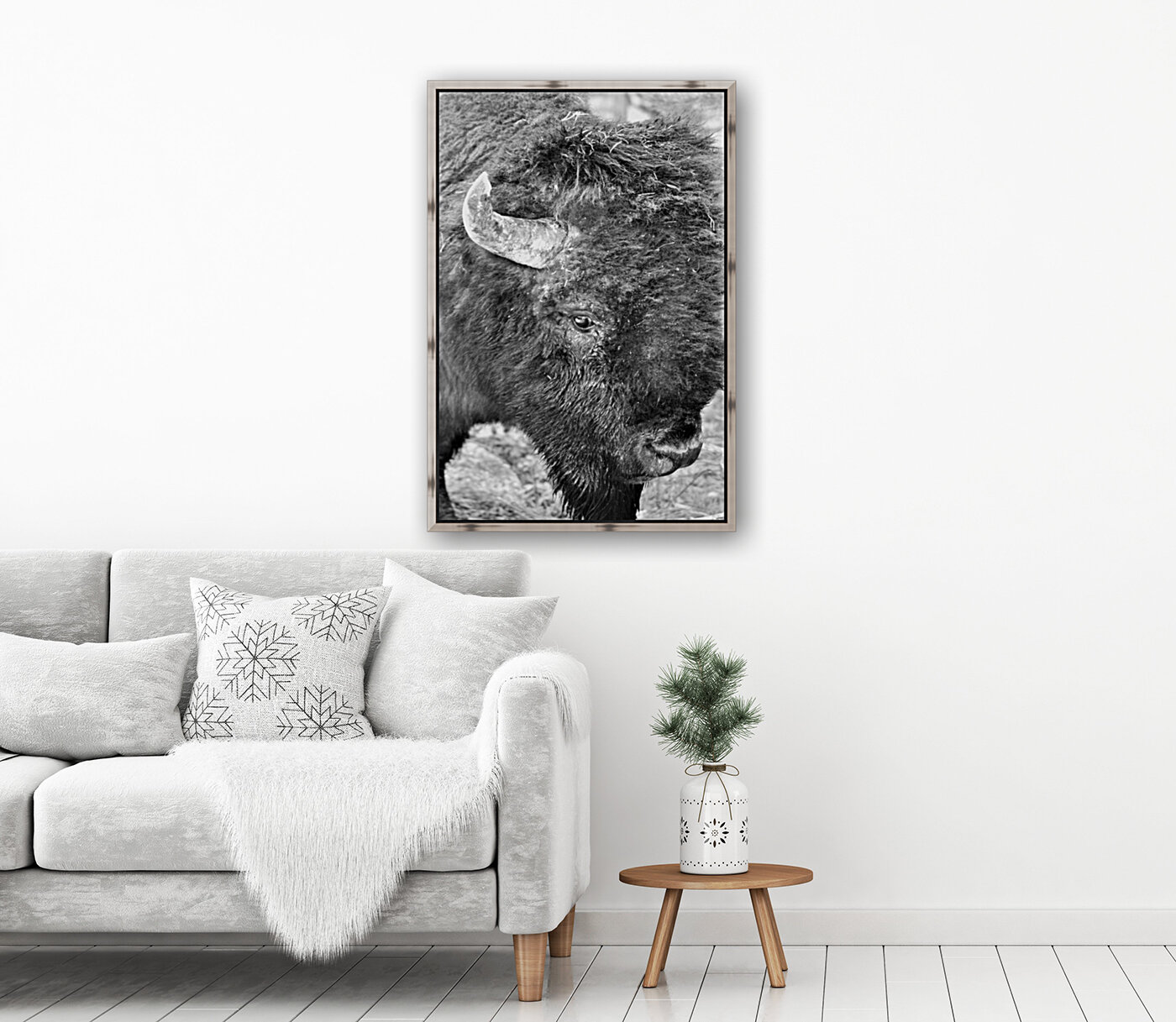 Yellowstone American Bison Reproduction