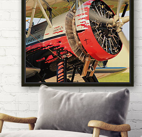 Dracula Biplane Radial Engine Airplane by Cameron Wilson Photos