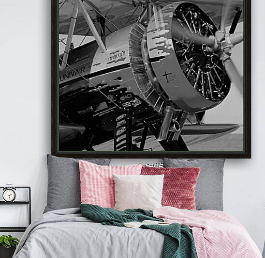 Dracula Biplane Radial Engine Airplane by Cameron Wilson Photos