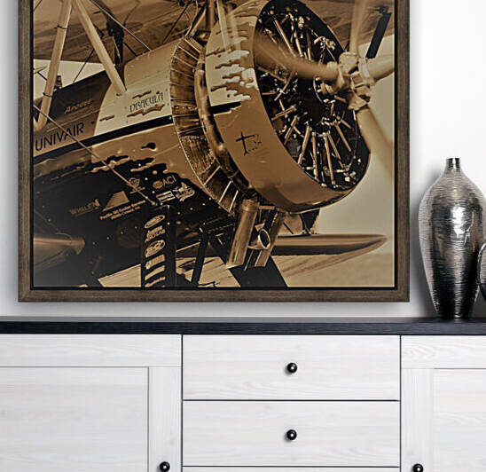 Dracula Biplane Radial Engine Airplane by Cameron Wilson Photos