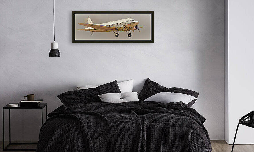 USAF Douglas C47 Airplane by Cameron Wilson Photos