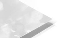 Douglas C47 Airplane HD Metal print