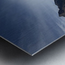 Patagonia Metal print