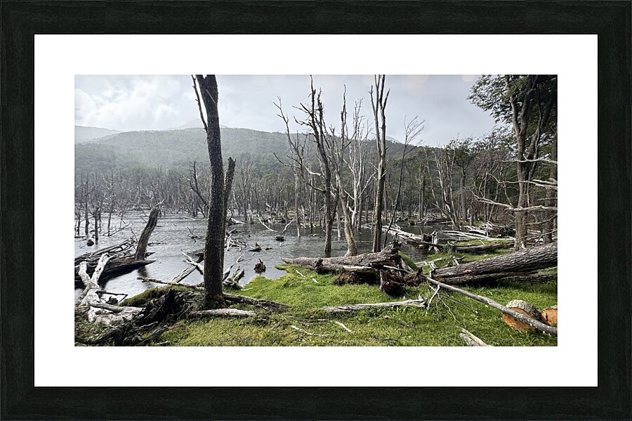Patagonia Picture Frame print