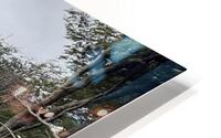 Patagonia HD Metal print