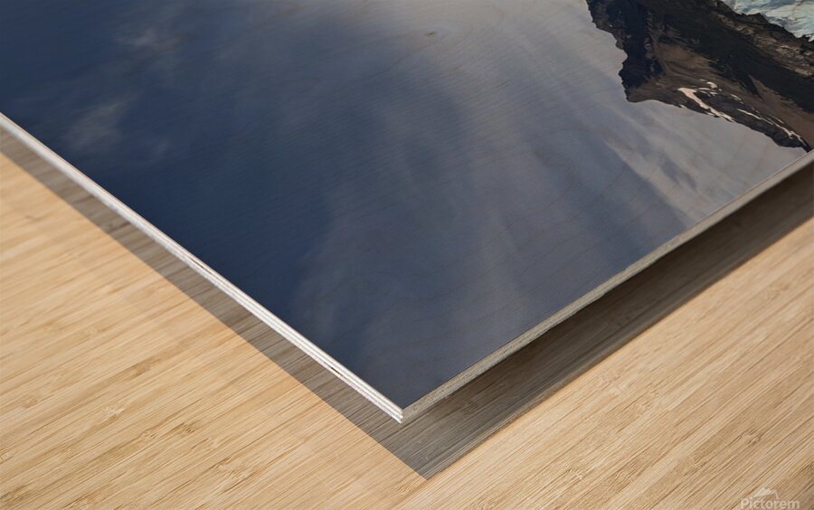 Patagonia Wood print