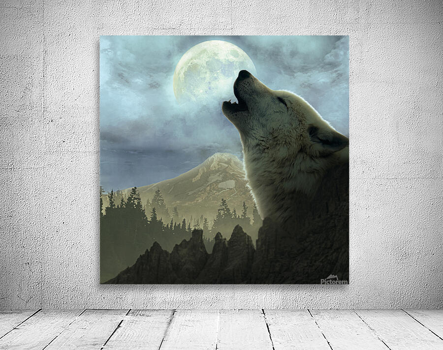Moonlight cinematic Wall Preview
