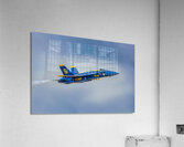 Solo Blue Acrylic Print