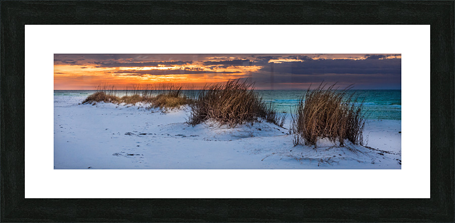 Beachgrass Sunrise Picture Frame print