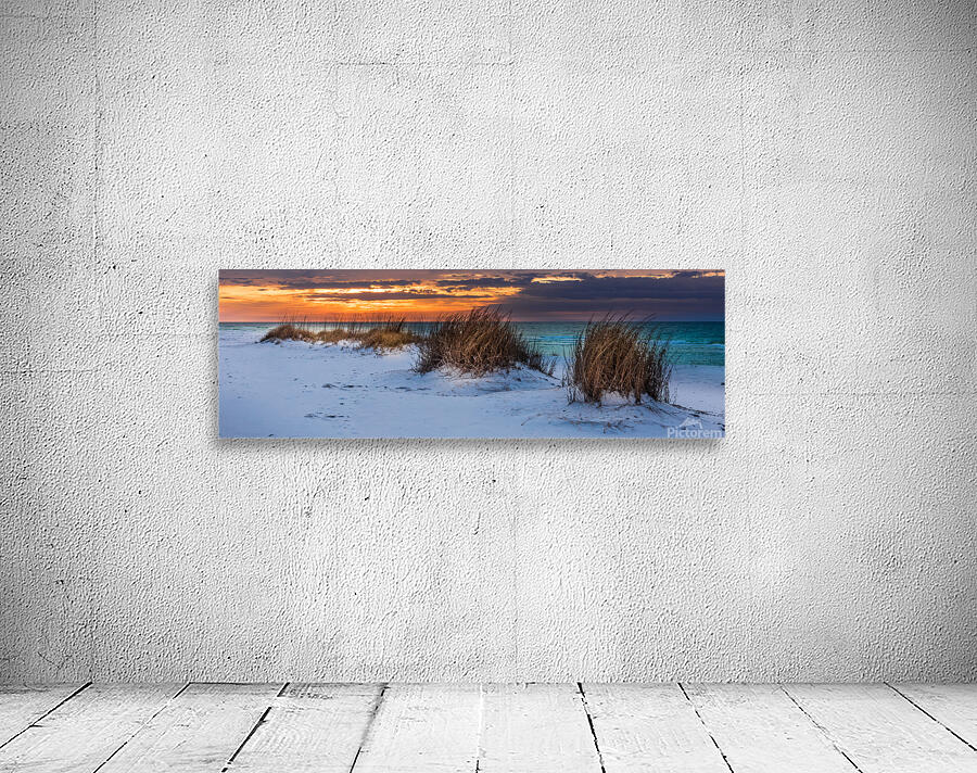 Beachgrass Sunrise Wall Preview