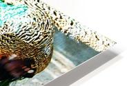 Peacock HD Metal print