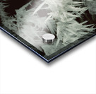 Frost E008a Acrylic print