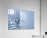 Tree in Winter Mist E047 Acrylic Print