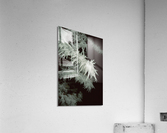 Frost E008a Acrylic Print