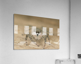 Familiar Jumper E004a Acrylic Print