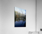 Reflections E0141 Acrylic Print