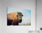 Bison 5392 Acrylic Print