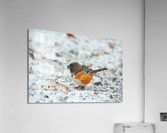 Tohee 6706 Acrylic Print
