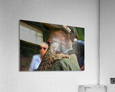 Pangolin AAC_7152 Acrylic Print