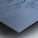 Tree in Winter Mist E047 Metal print