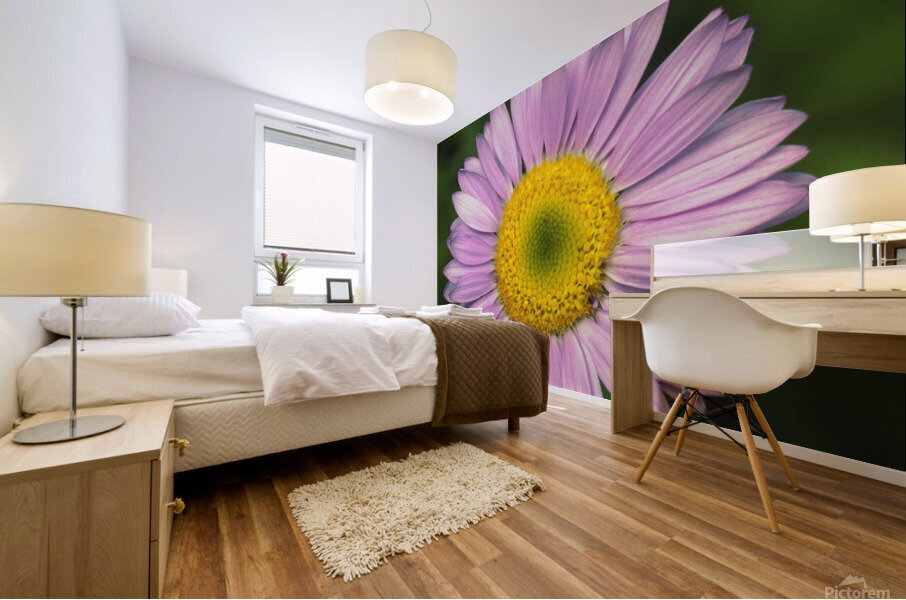 Wild Giant Aster E0706 Mural print