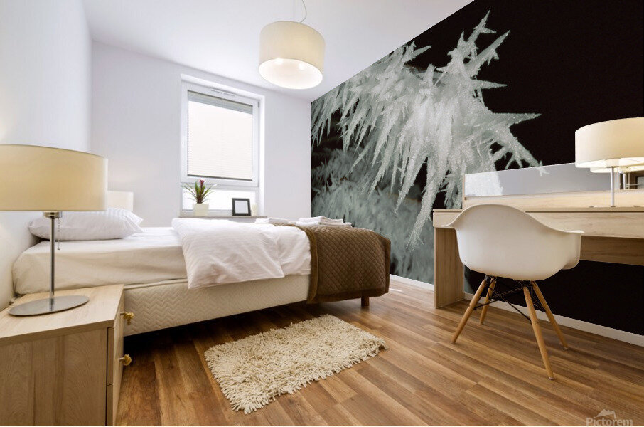 Frost E008a Mural print