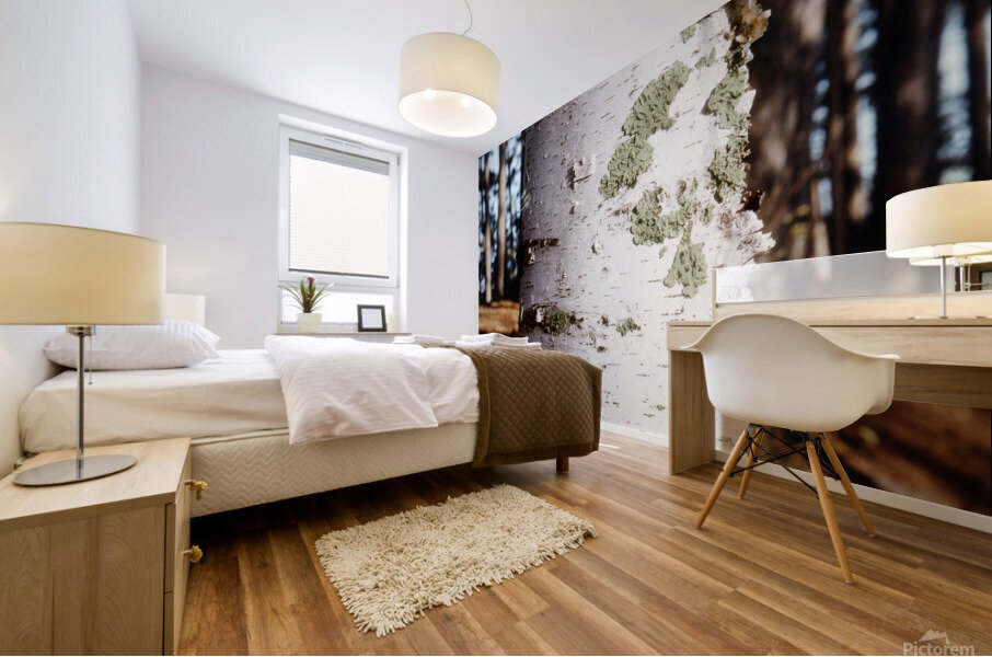 Paper Birch 27 Mural print
