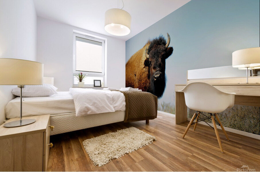 Bison 5392 Mural print