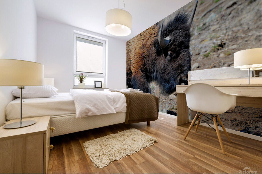 Bison 5396 Mural print