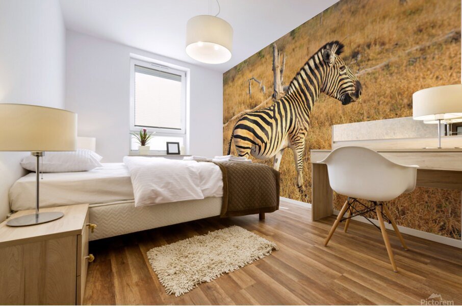 Zebra AAC_7643 Mural print