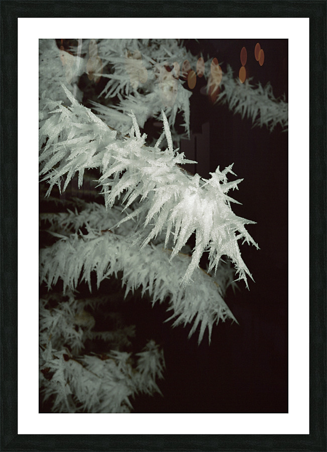 Frost E008a Picture Frame print