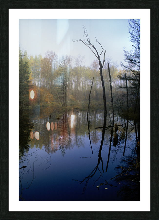 Reflections E0141 Picture Frame print