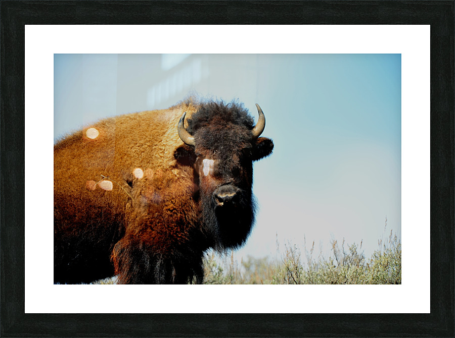 Bison 5392 Picture Frame print