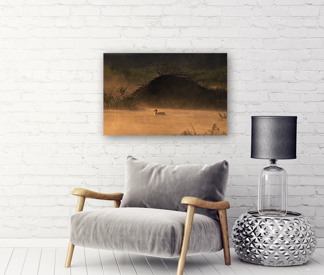 Beaver Lodge 31 Reproduction