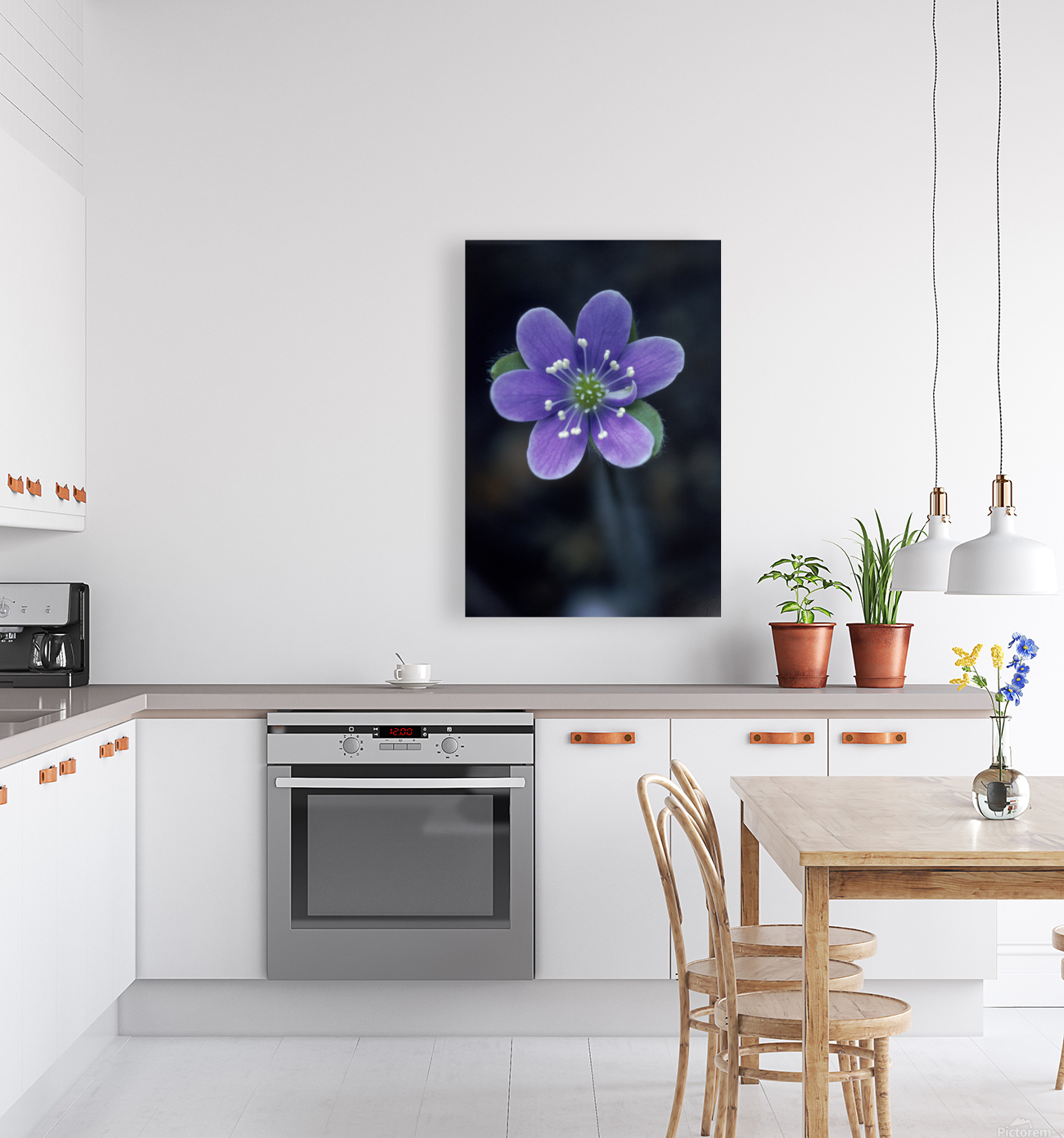 Wild Anemone Hepatica E0715 Reproduction