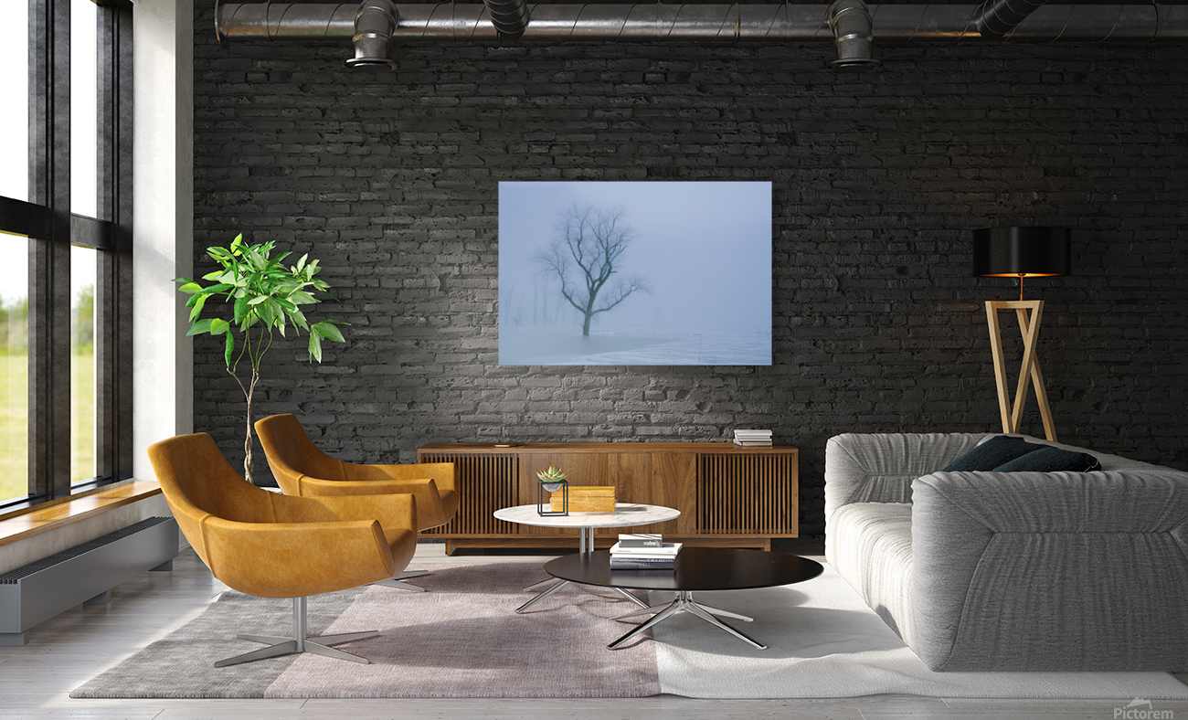 Tree in Winter Mist E047 Reproduction