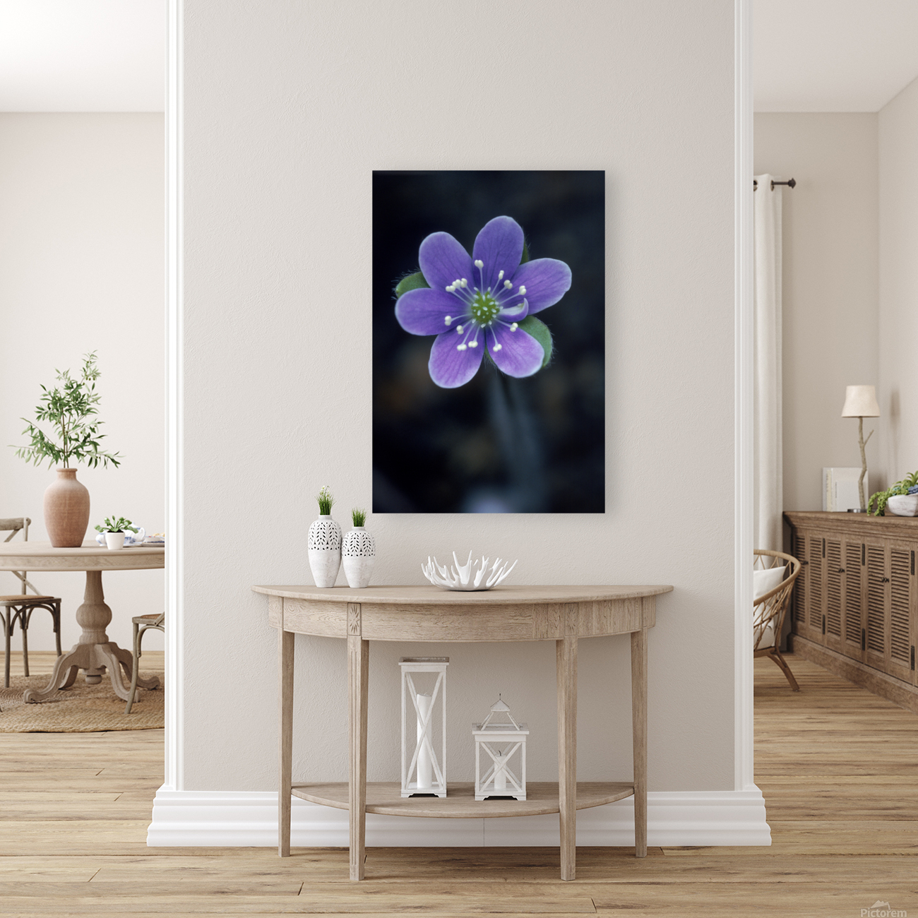 Wild Anemone Hepatica E0715 Reproduction
