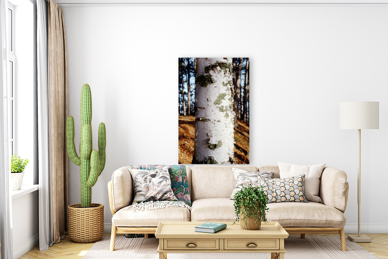 Paper Birch 27 Reproduction