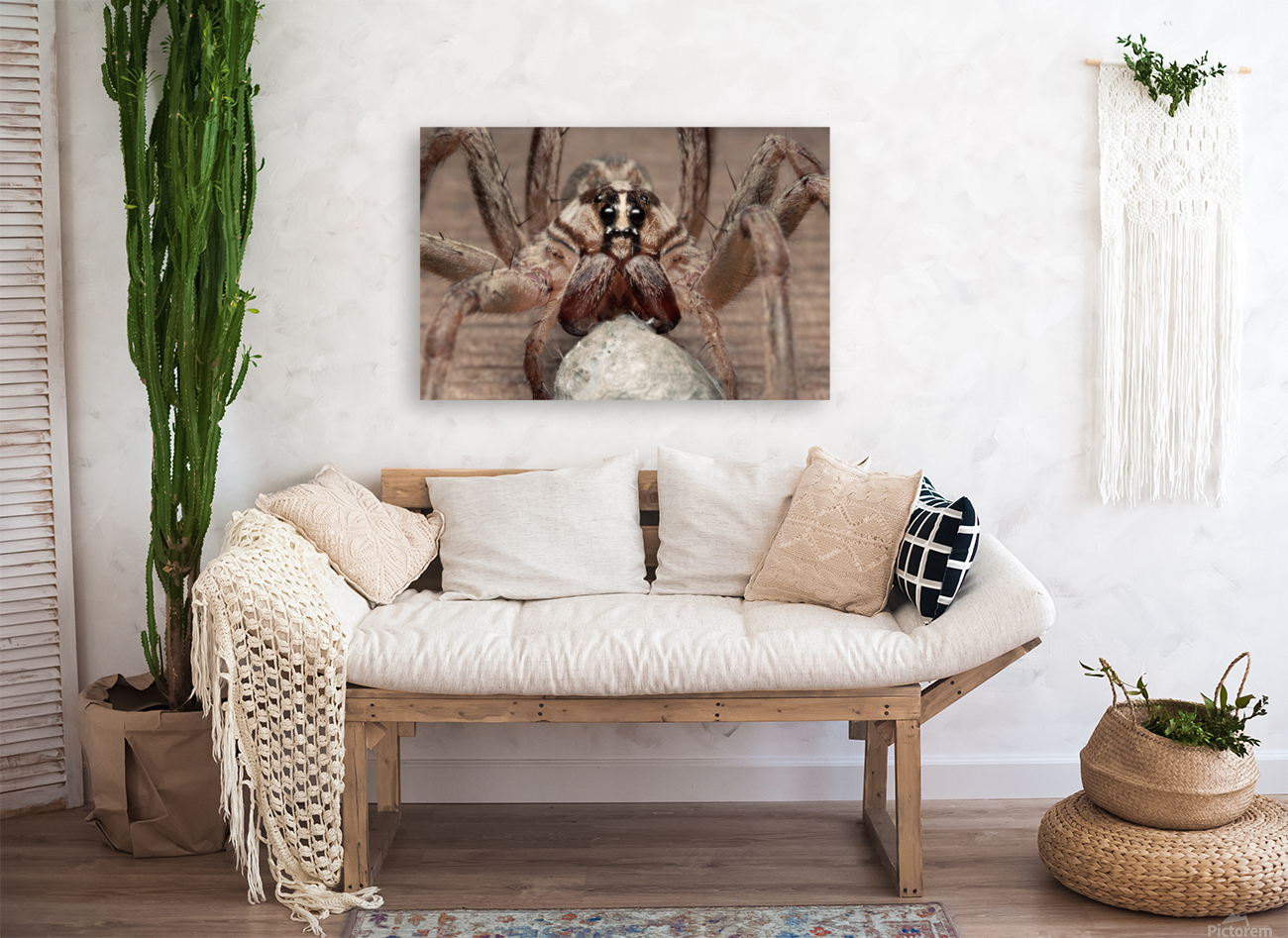 Wolf Spider With Egg Case E0820 Reproduction