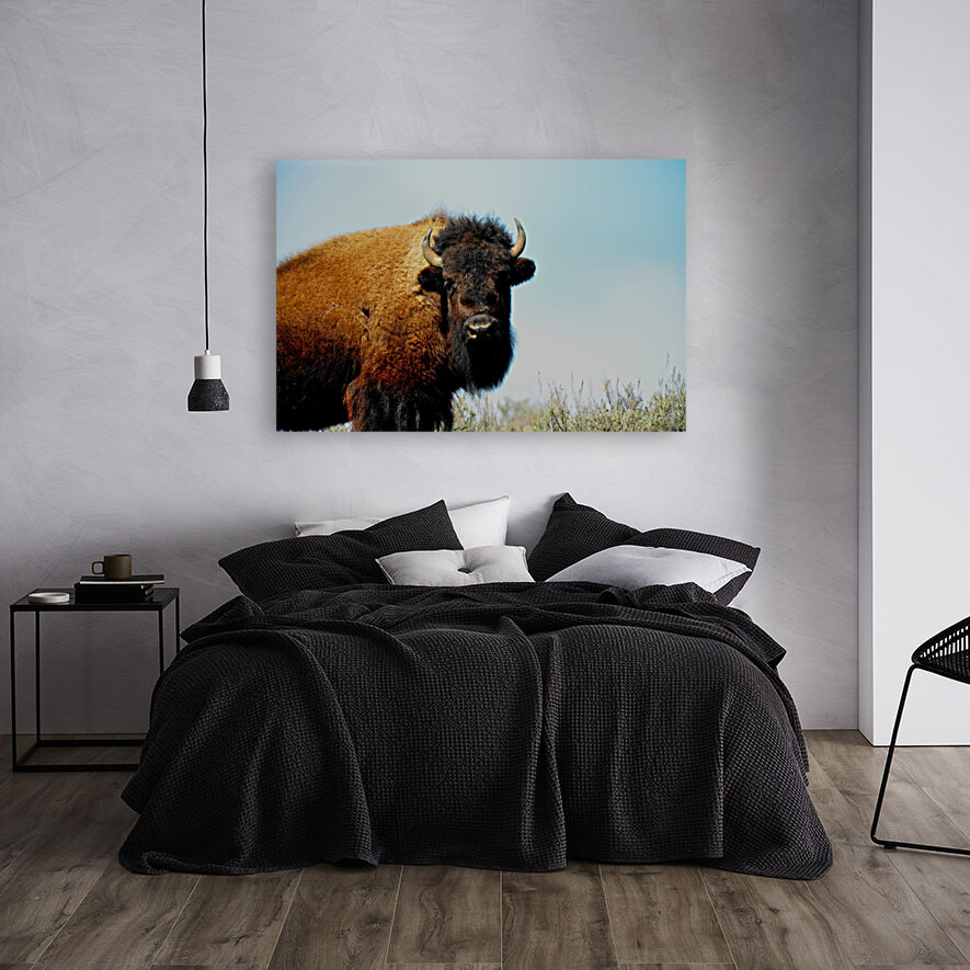 Bison 5392 Reproduction