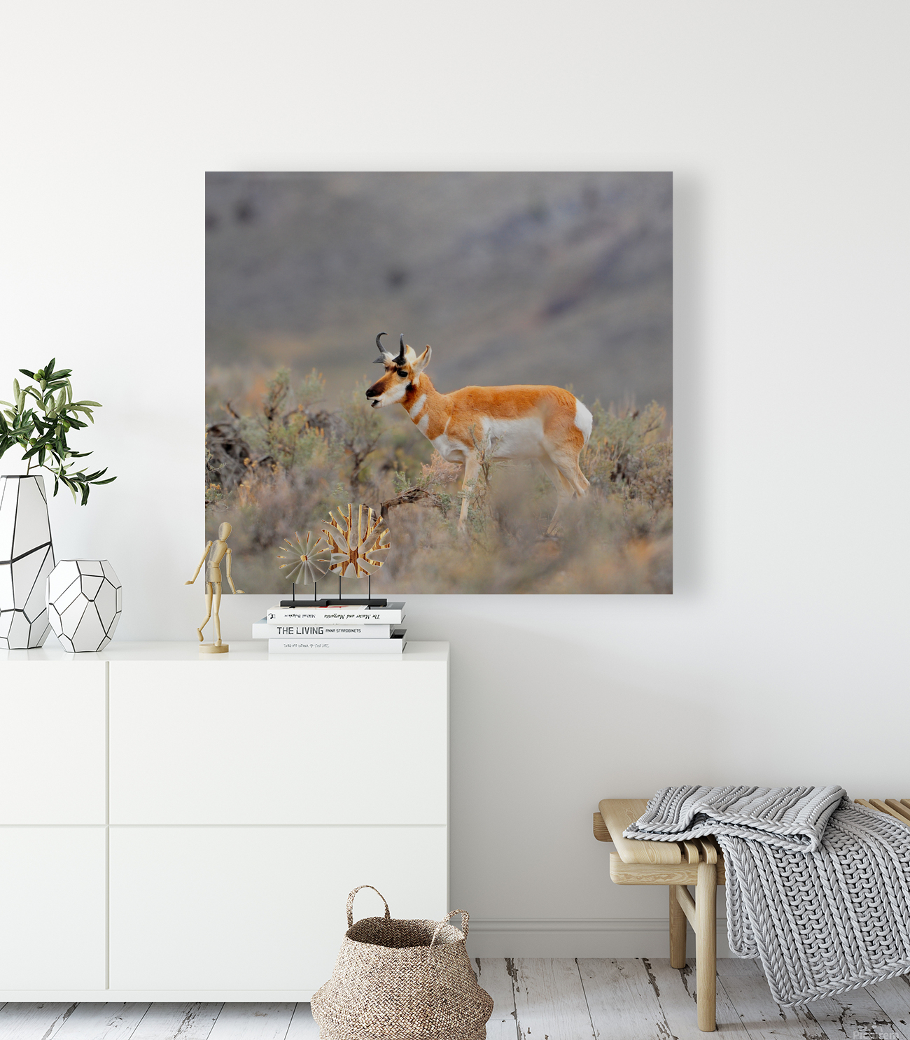 Pronghorn 5468 Reproduction