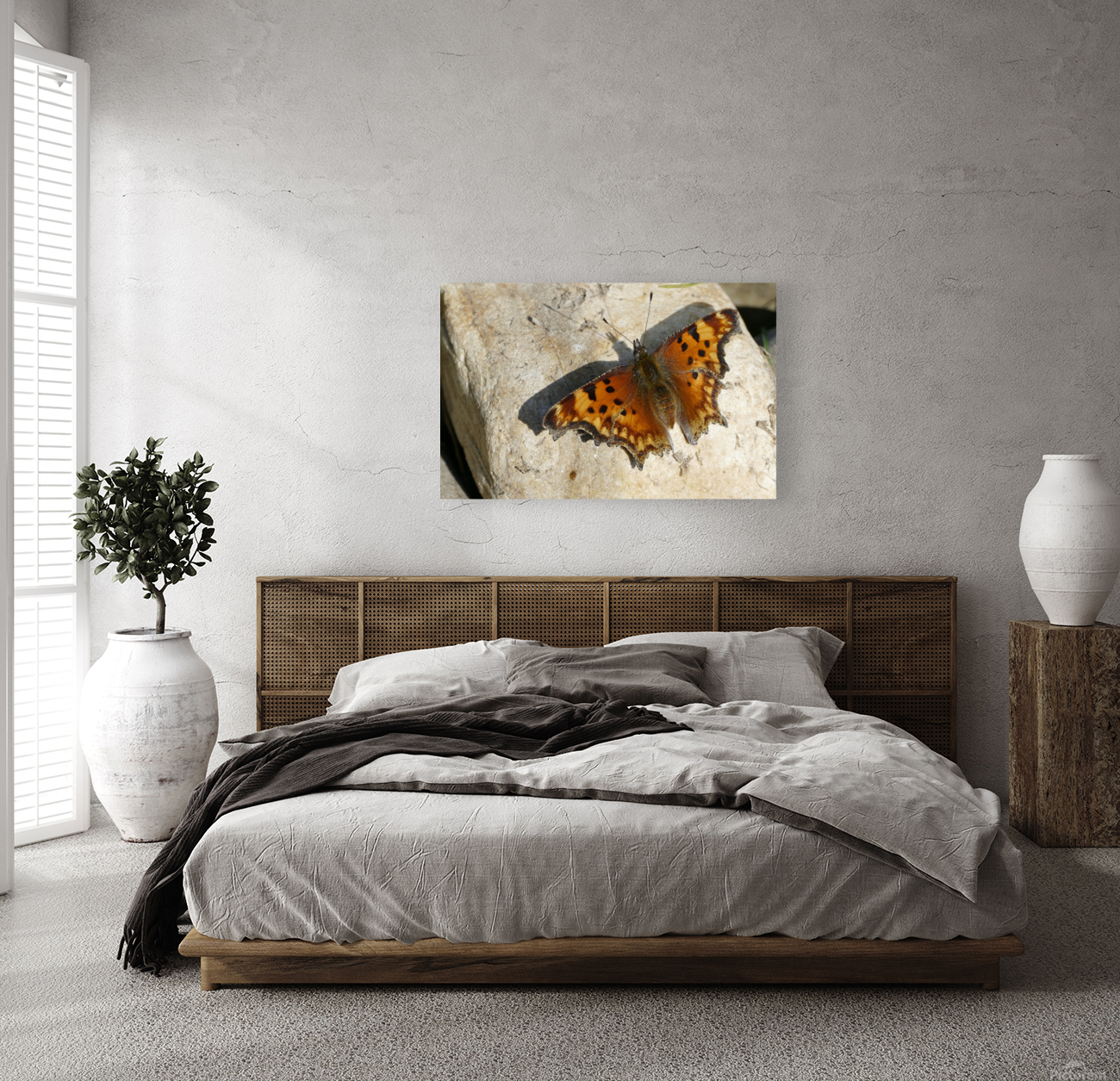 Butterfly 1100921 Reproduction