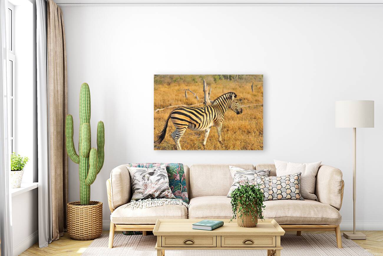 Zebra AAC_7643 Reproduction