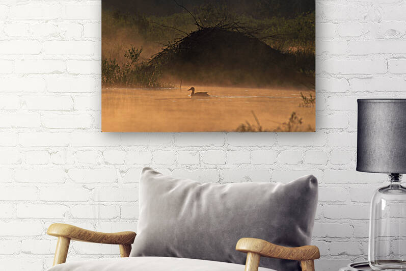 Beaver Lodge 31 Reproduction