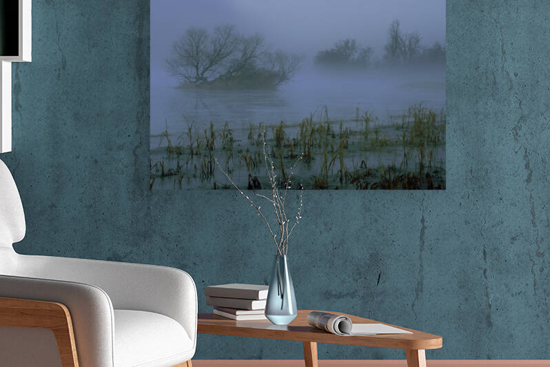 Winter Morning Mist 34 by Marquart Natural Images