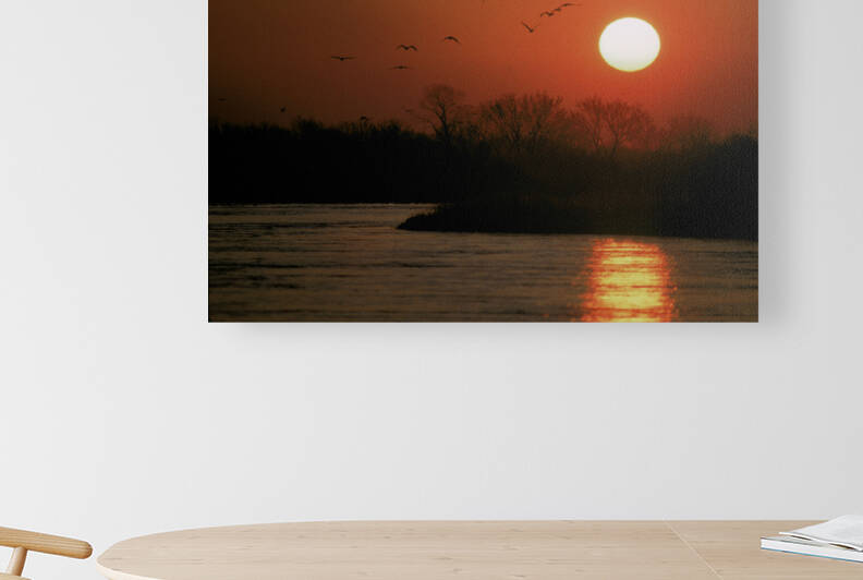 Sunrise and Sandhill Cranes over Platte River in Nebraska E066 by Marquart Natural Images