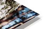 Paper Birch 27 HD Metal print