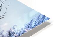 Reflections E0141 HD Metal print
