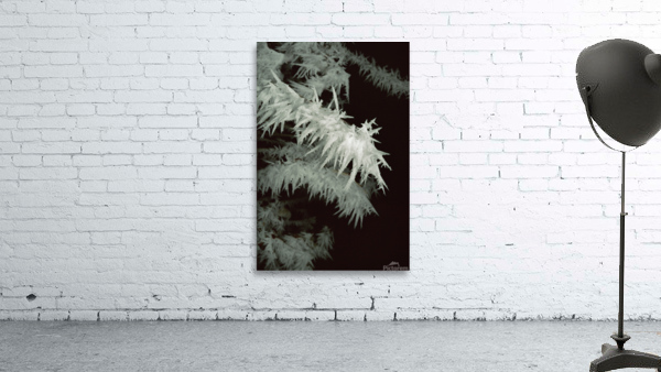 Frost E008a Wall Preview